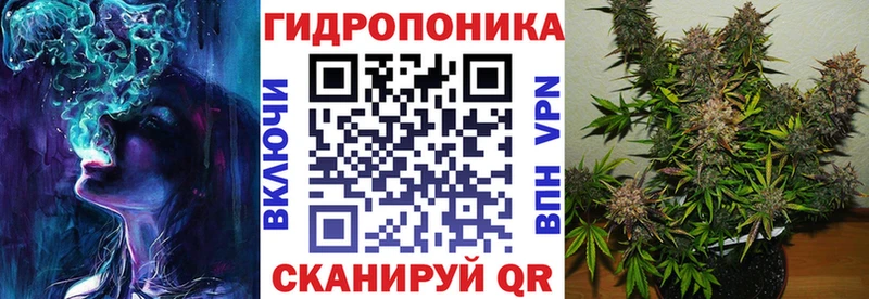 Бошки марихуана OG Kush  Лагань 